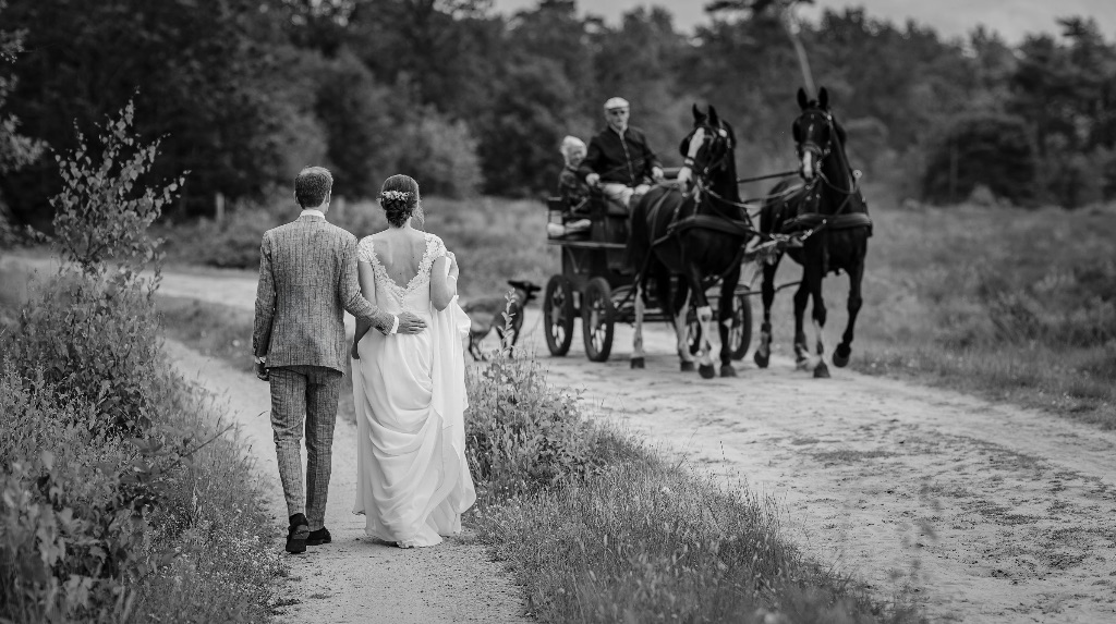 Bruidspaar Tabitha en Jan-Willem wandelt arm in arm over een zandpad op de hei, een koets met twee zwarte paarden komt hen tegemoet