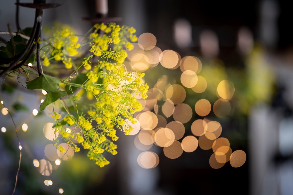 Gele bloemen en lichtjes als bruiloftsdecoratie op Domaine d’Heerstaayen in Strijbeek
