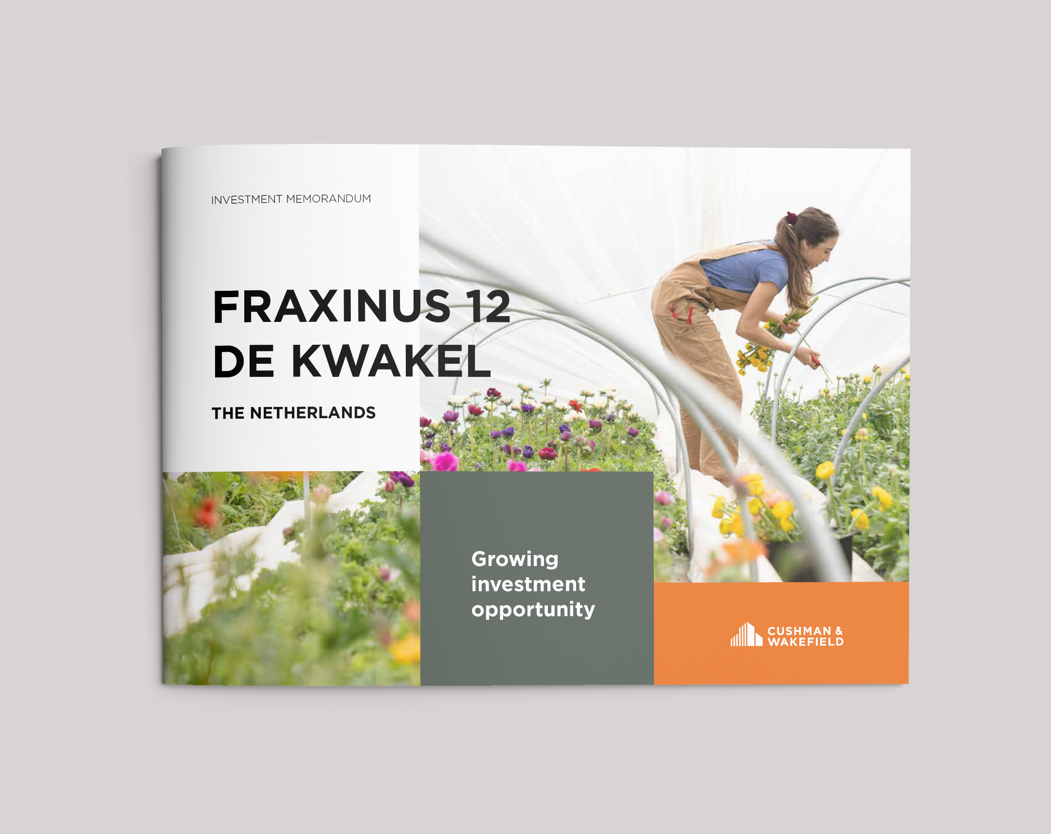 Fraxinus 12 De Kwakel